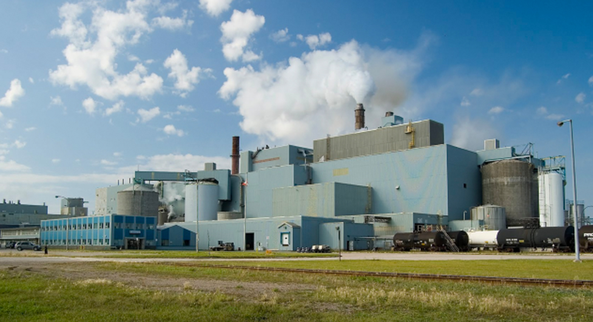 Electricity Pricing Optimization for Ontario Pulp Mill